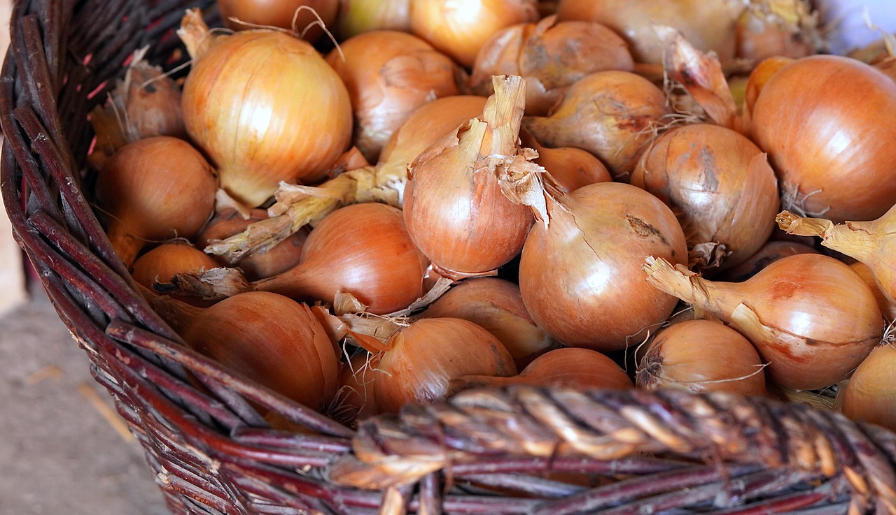 img_oignons